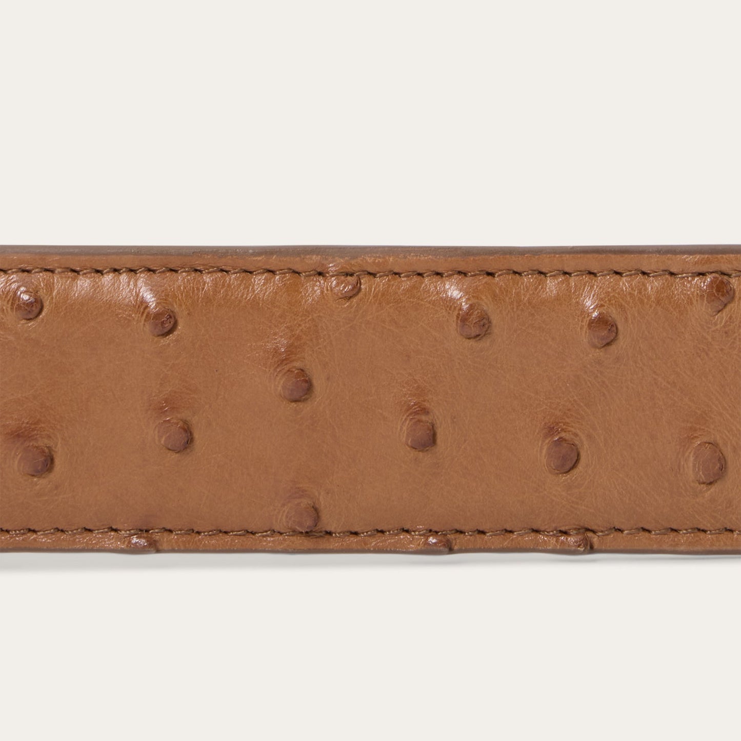 Cinturón de Piel Caballero Avestruz Cowboy Brown 6500 | Stetson