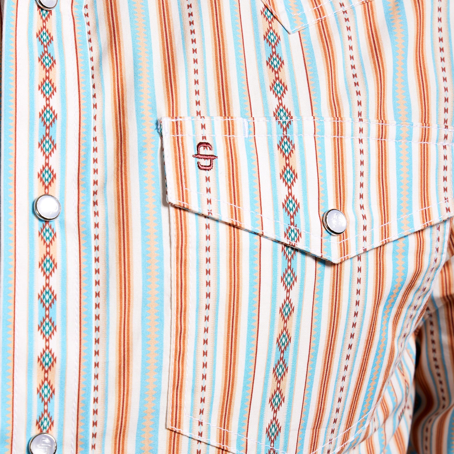 Camisa Caballero Vintage Range Printed Timberline Spirit | Stetson®