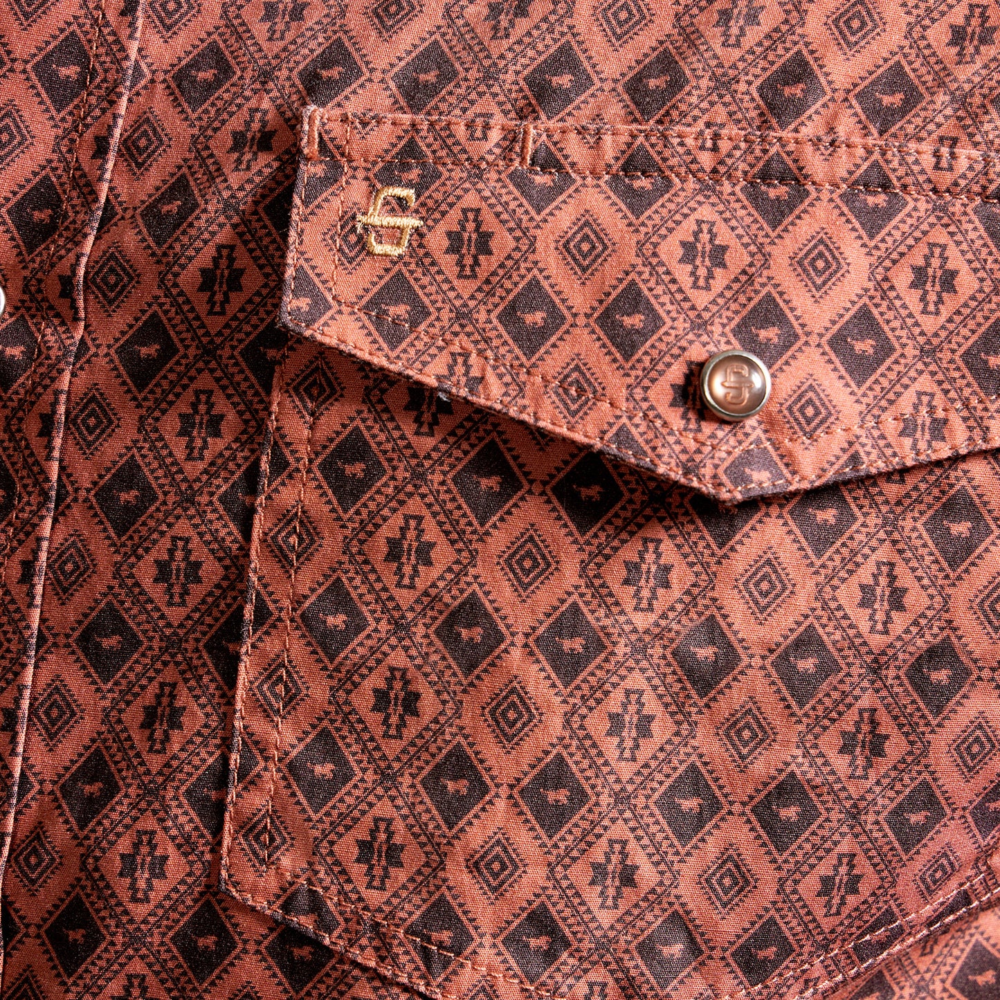 Camisa Caballero Vintage Range Printed Tierra Sagrada | Stetson®