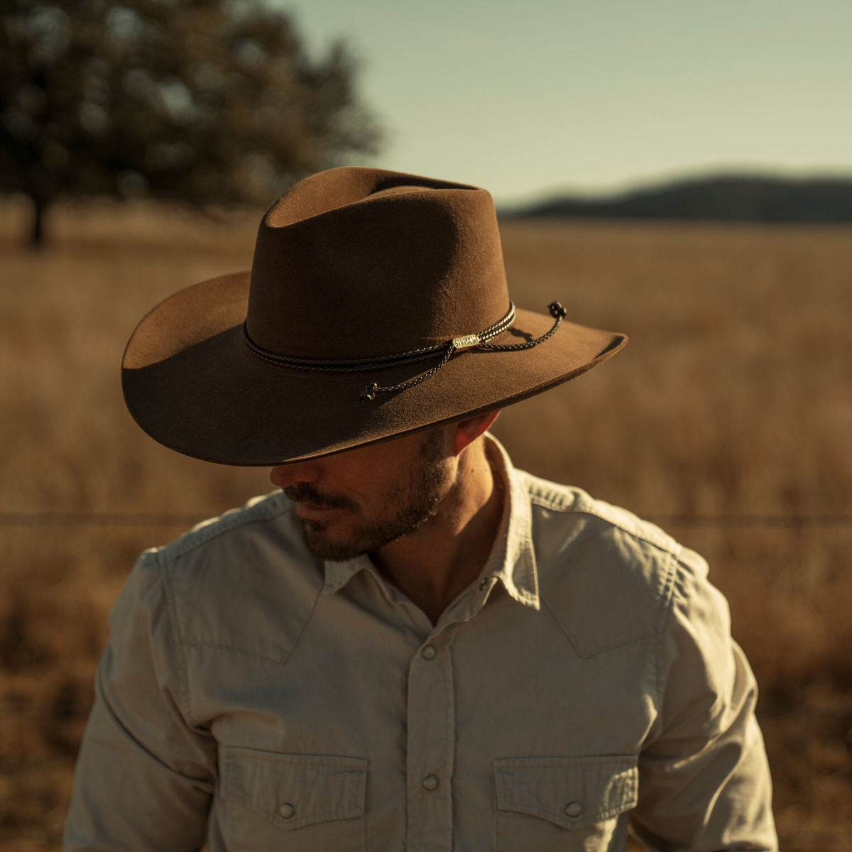 Texana Stetson Carson 6X Acorn