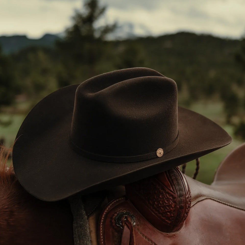 The Golden Eagle 100X | Stetson®