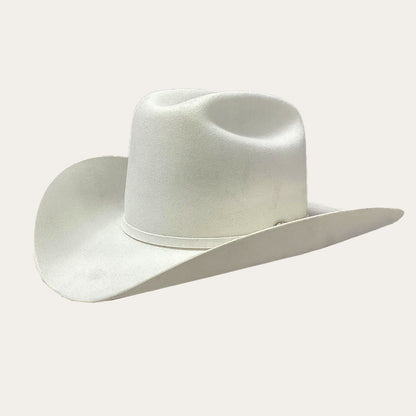 Sombrero Stetson Palacio II 6X