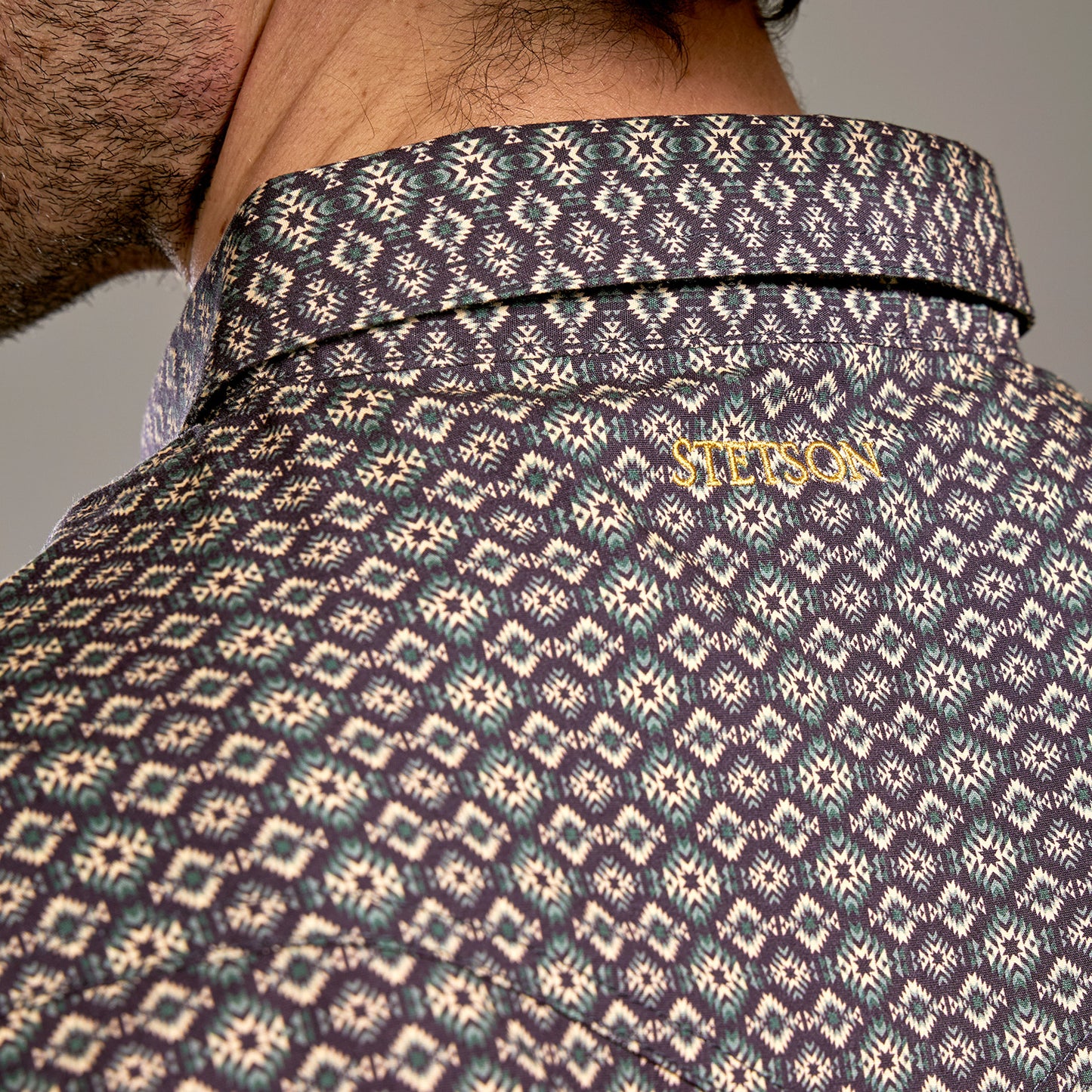 Camisa Caballero Vintage Range Printed Forest Nomad | Stetson®