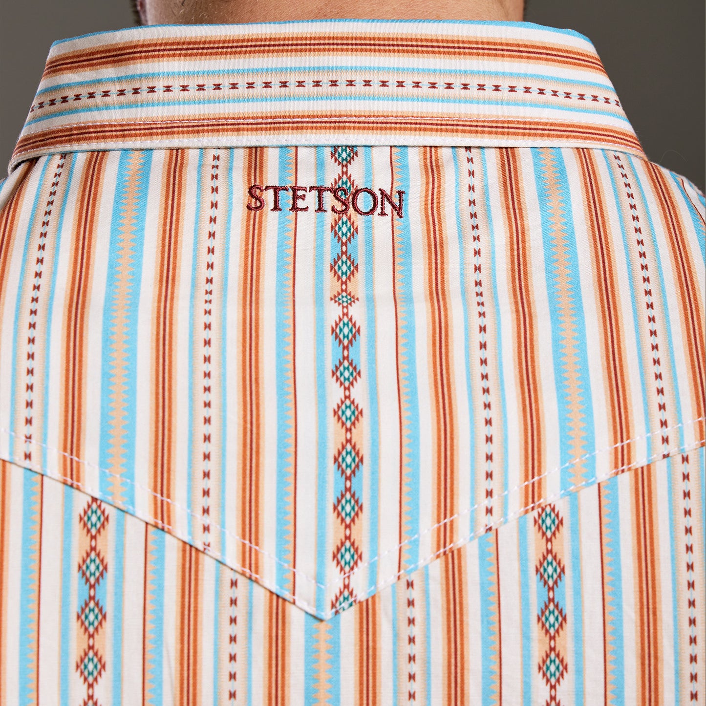 Camisa Caballero Vintage Range Printed Timberline Spirit | Stetson®