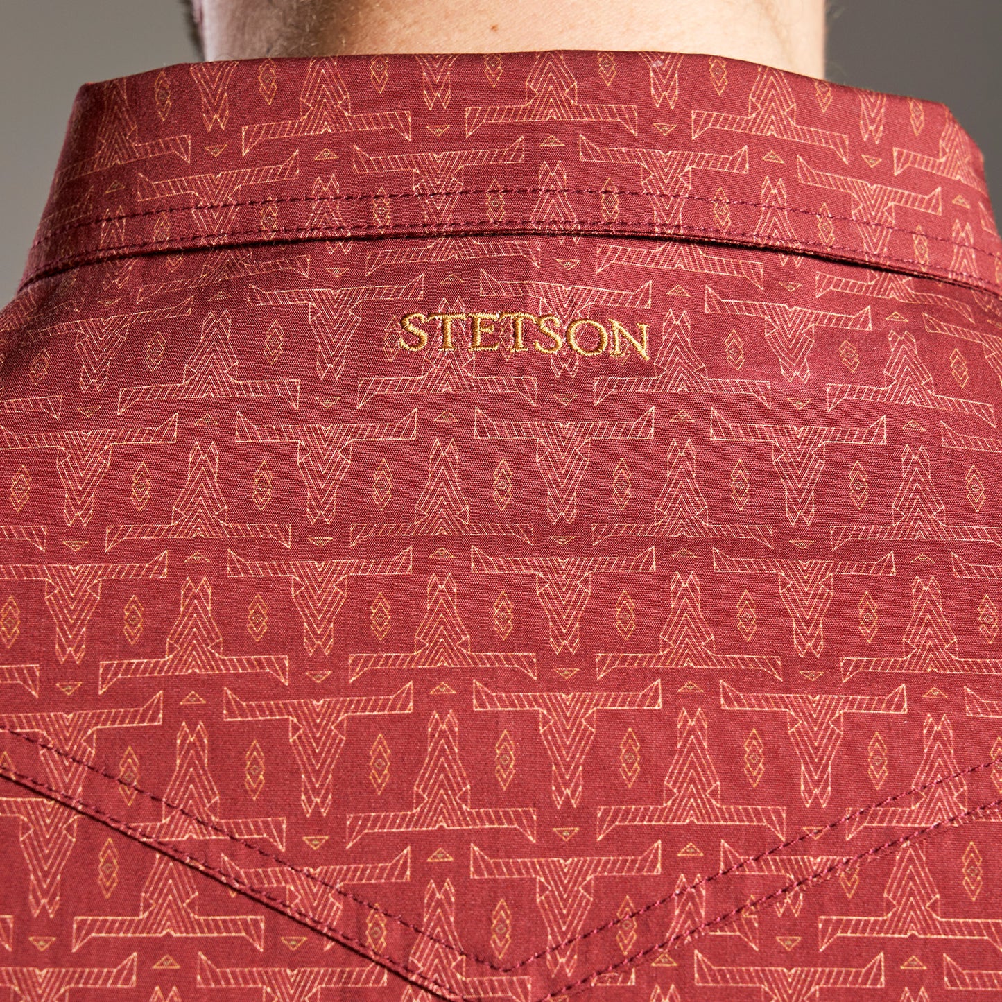 Camisa Caballero Vintage Range Printed Bravado Lines | Stetson®